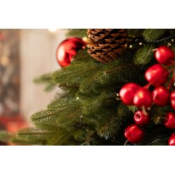 Choinka Sztuczna ŚWIERK KANADYJSKI 250 cm MIX PE + PVC