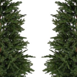 Choinka sztuczna ŚWIERK SKANDYNAWSKI 250 cm 100% PE
